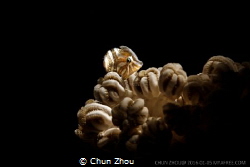 Just one glance by Chun Zhou 